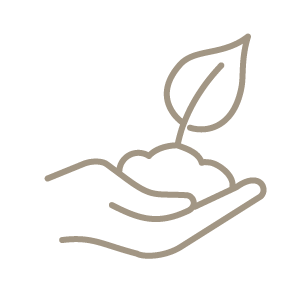 Hand Holding Soil And Plant Icon